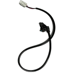 Rear brake switch